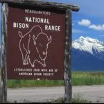 National Bison Range