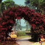 Cypress Gardens