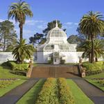 Golden Gate Park