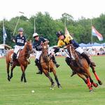 Newport Polo