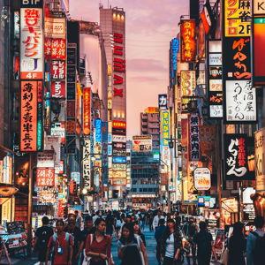 Japan Honeymoon Fund