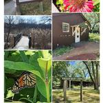 Homewood Izaak Walton Preserve