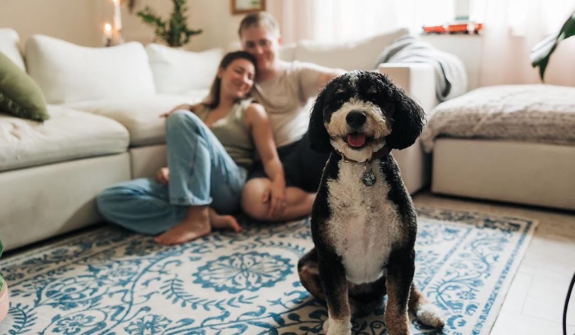 The Wedding Website of Alex Fogelberg and Sean Wiedl