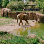 Birmingham Zoo