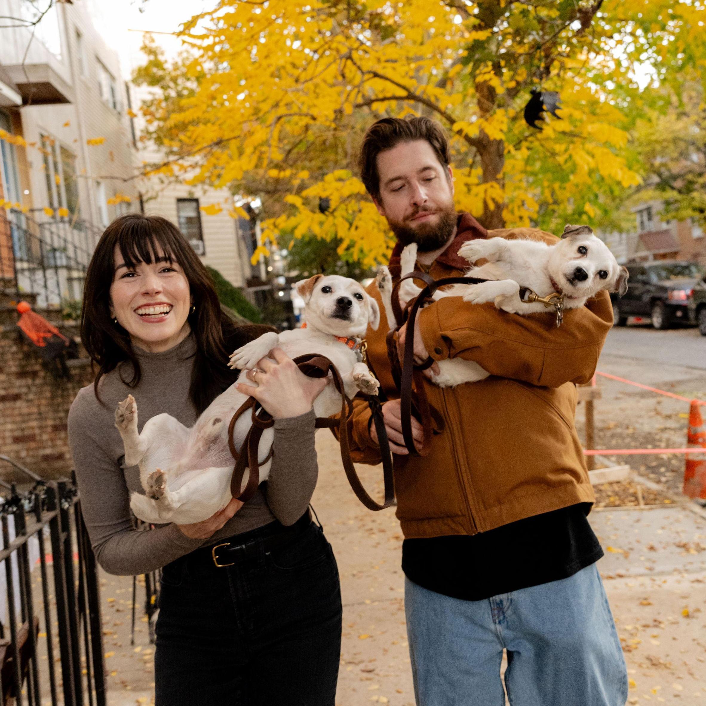 This is actually what it looks like every time we want to bring the dogs to the park