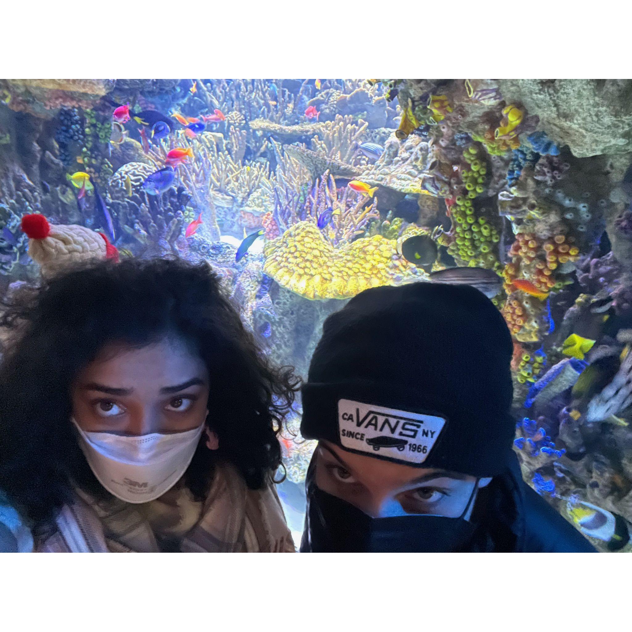 We spent Valentine's Day in 2022 together at the New England Aquarium.