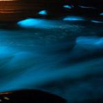 Luminous Lagoon Glistening Waters