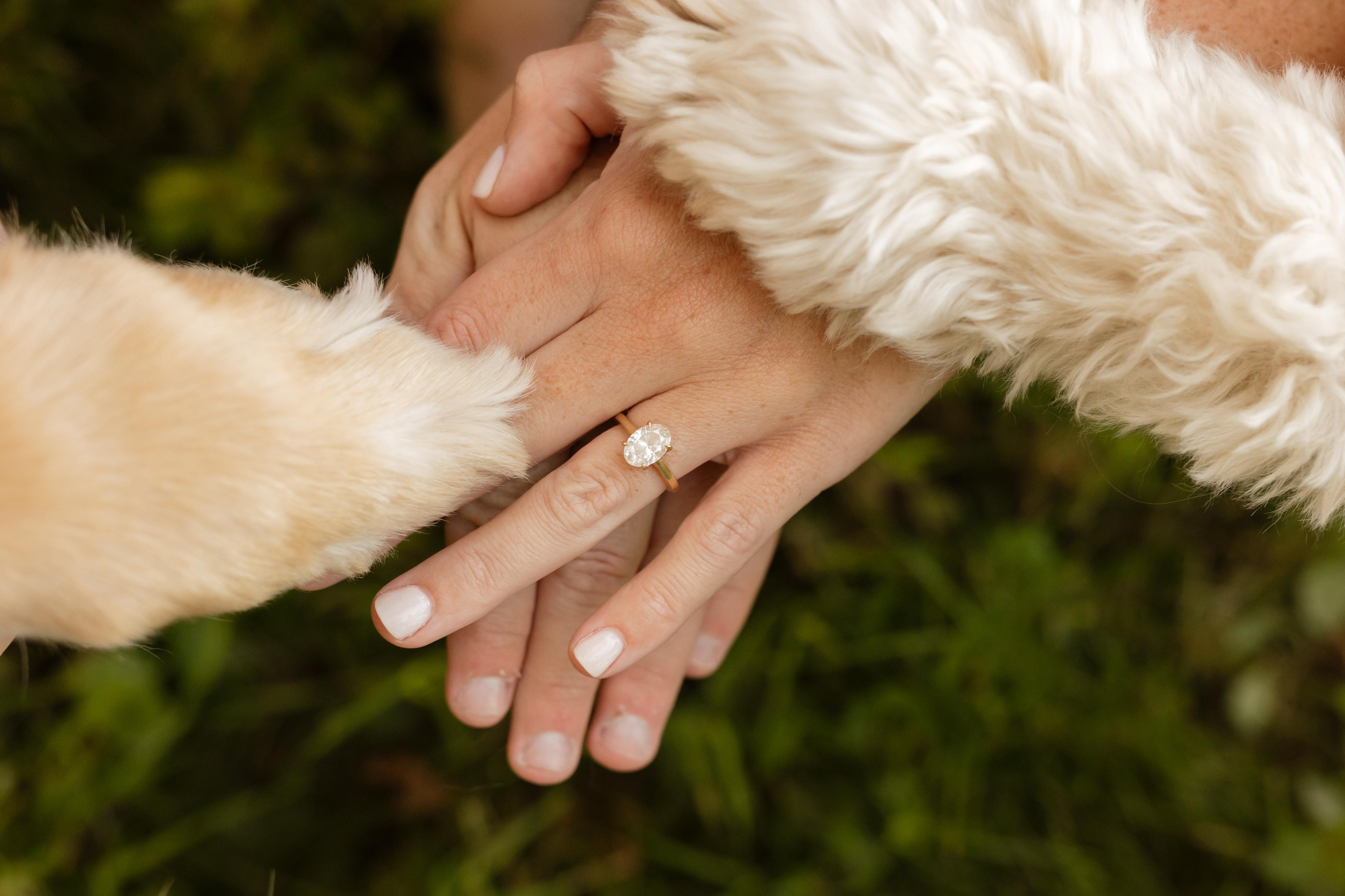 The Wedding Website of Whitney McClellan and Logan Boling