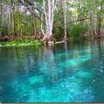 Silver Springs State Park