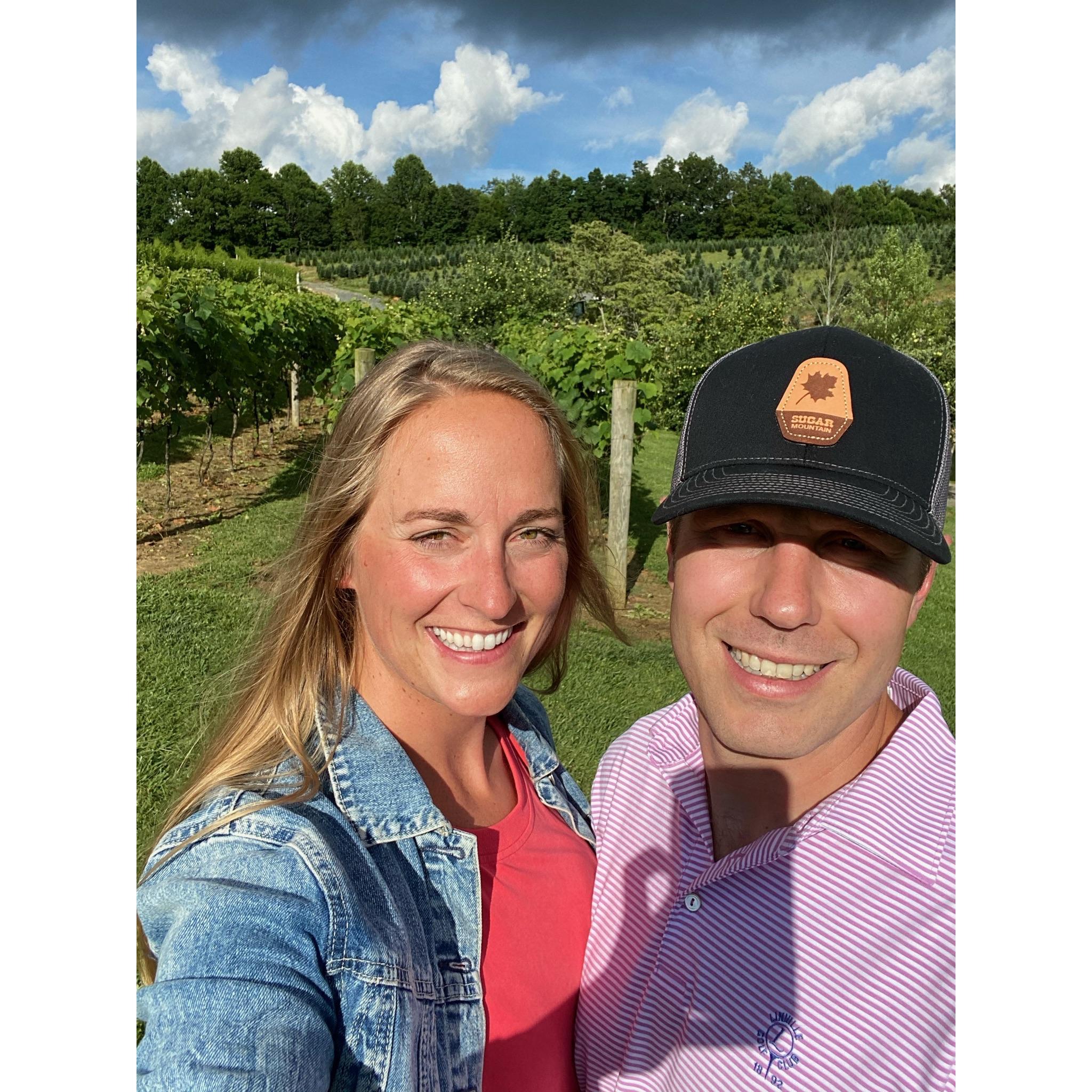 Wineries yum- Linville, NC