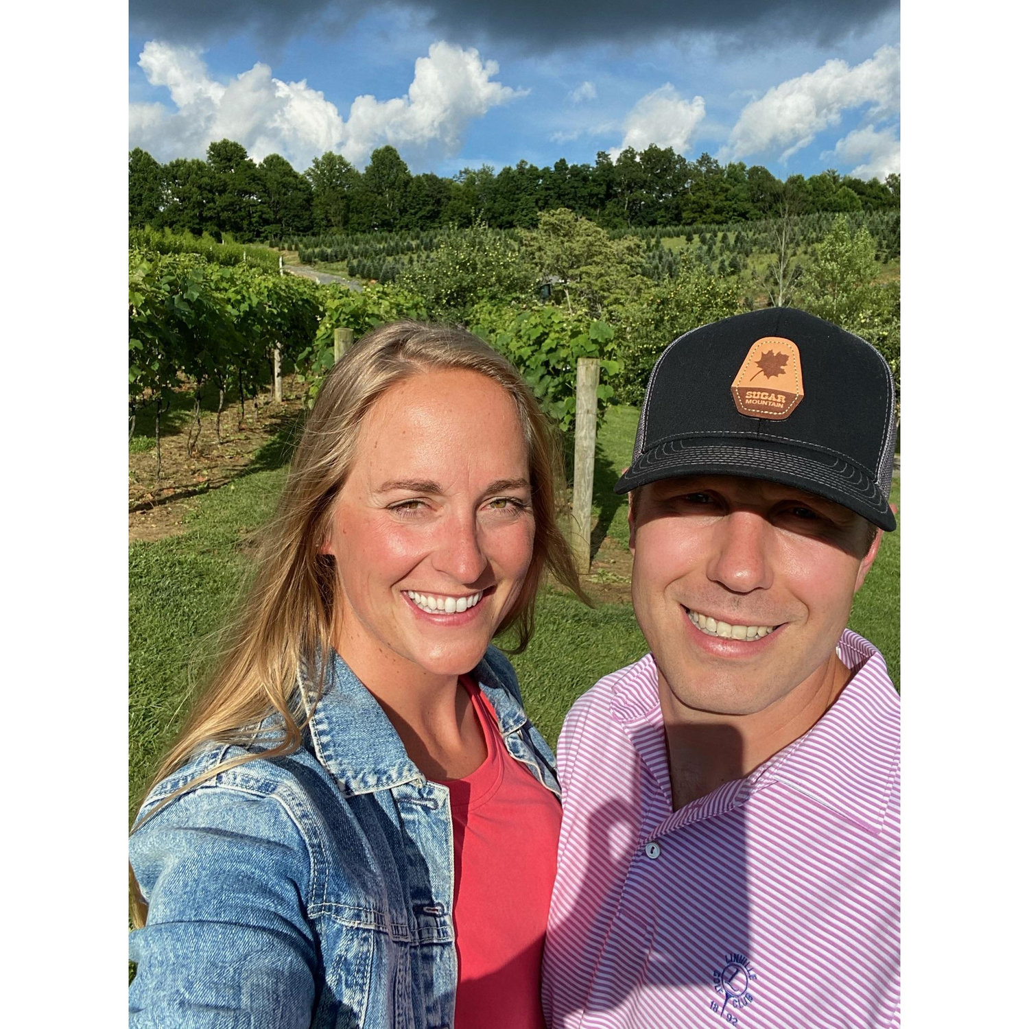 Wineries yum- Linville, NC