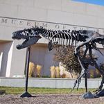 Museum of the Rockies