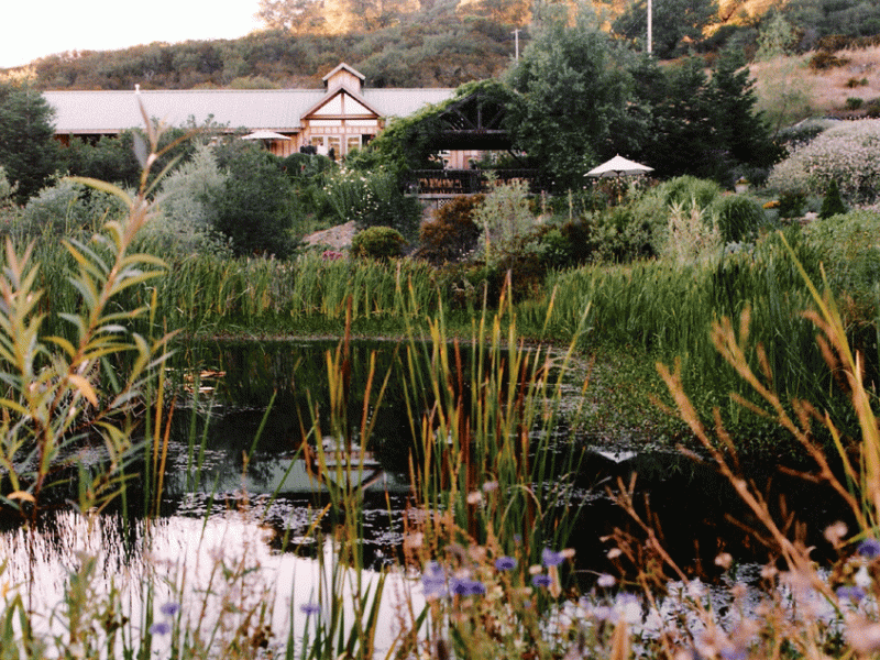 The Wedding Website of Megan Flynn and Eric Whitehead