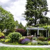 Bellevue Botanical Garden