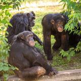 Tulsa Zoo