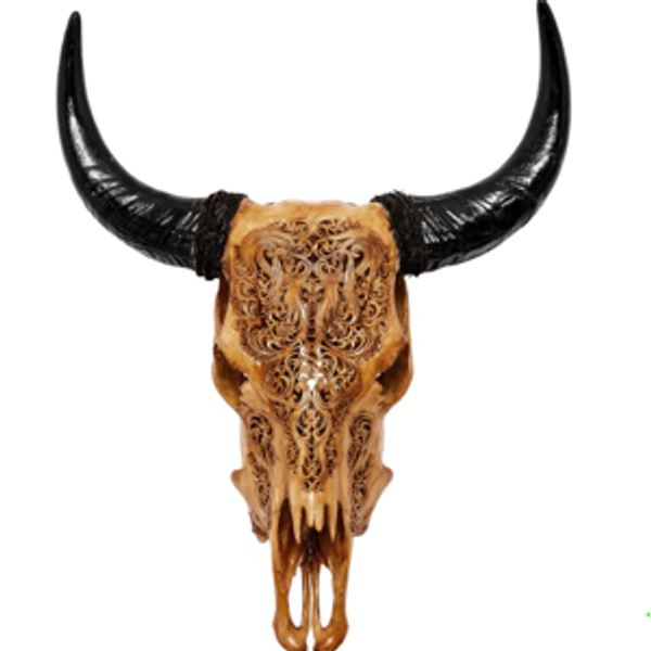 Antique Titan Cow Skull (or something)