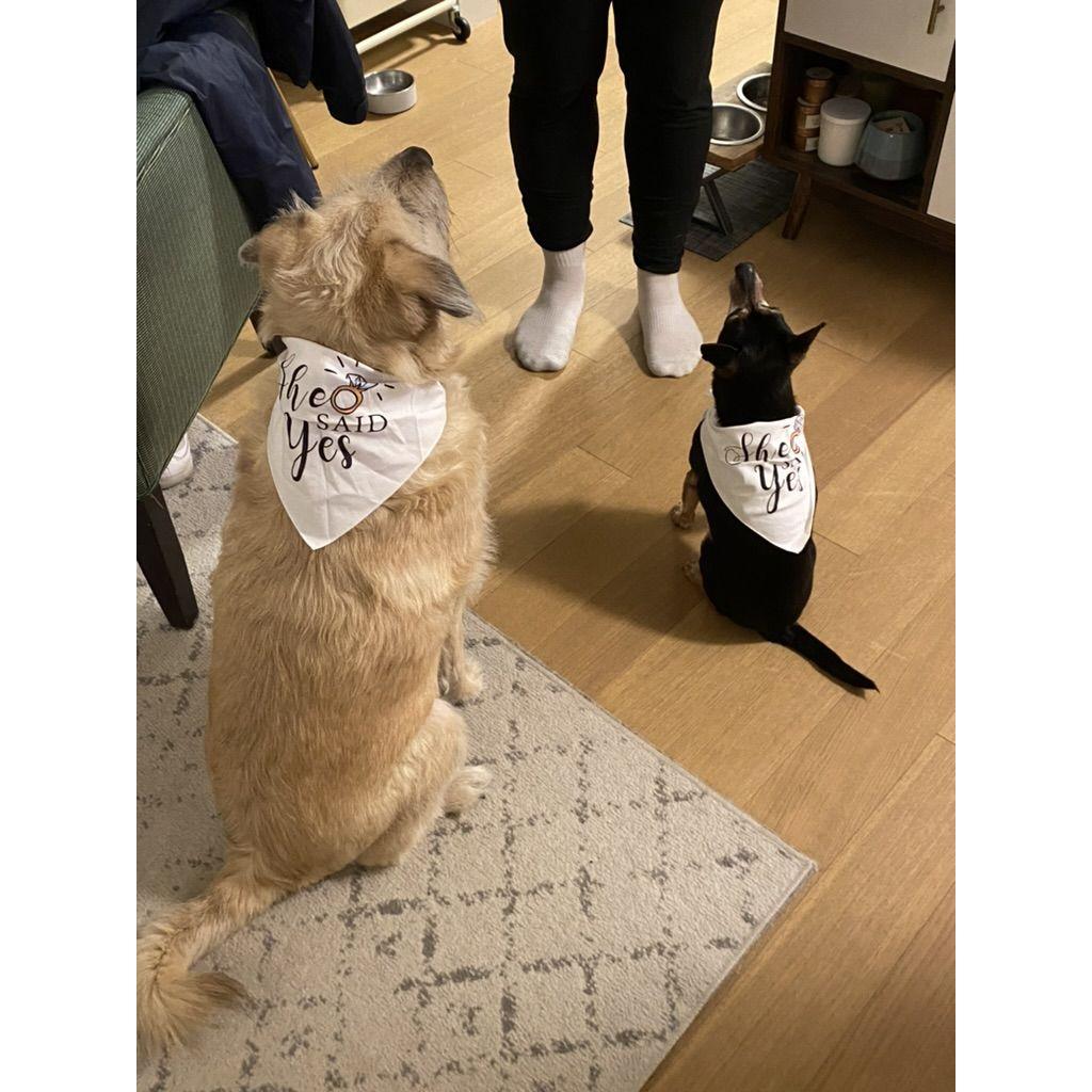 The girls said yes too!