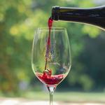 Rideau Vineyard