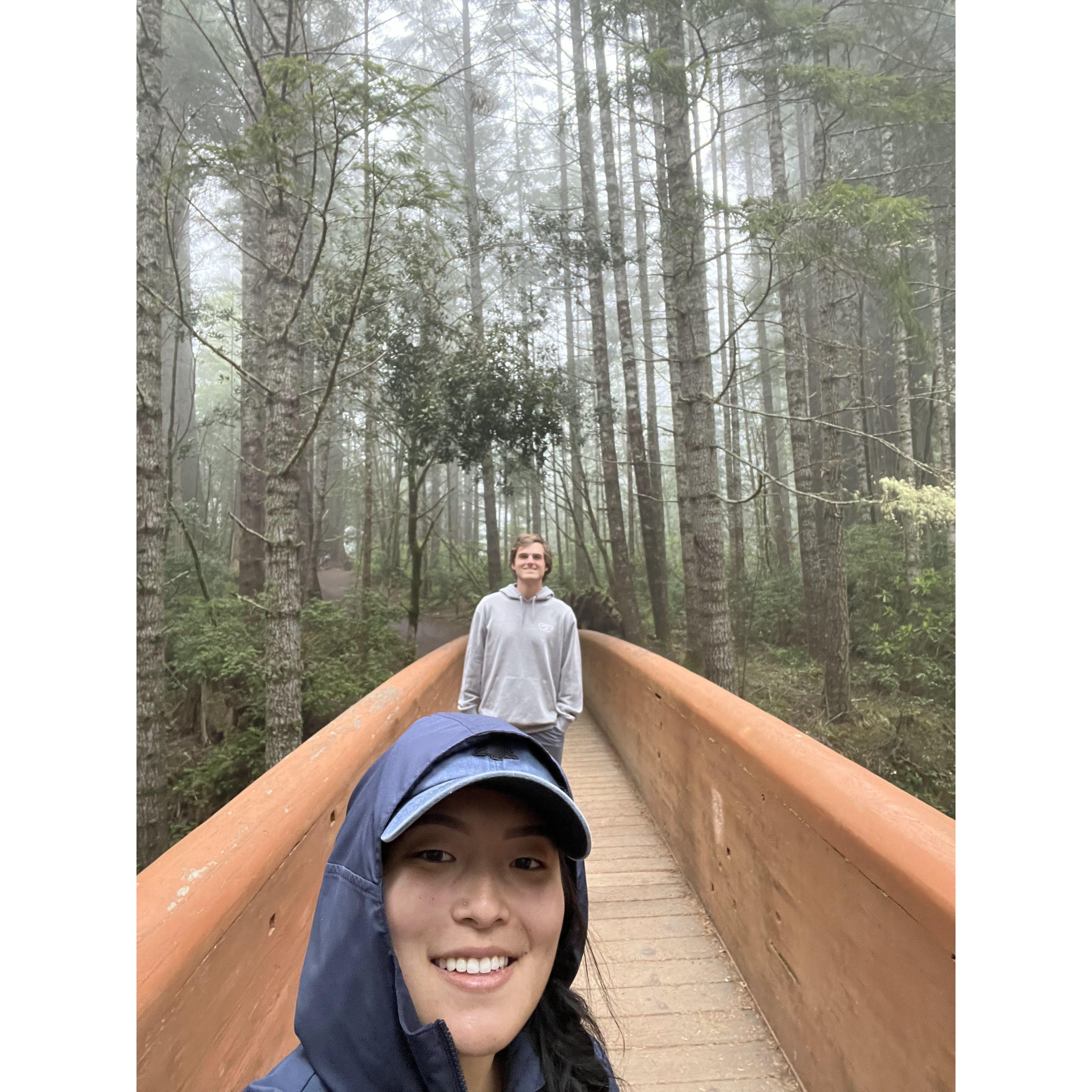 Lady Bird Johnson Trail