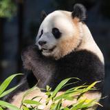 Smithsonian National Zoo