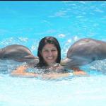 Swim with Dolphins