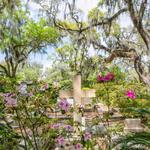 Bonaventure Cemetery