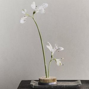 Kenzan Flower Holder 2"
