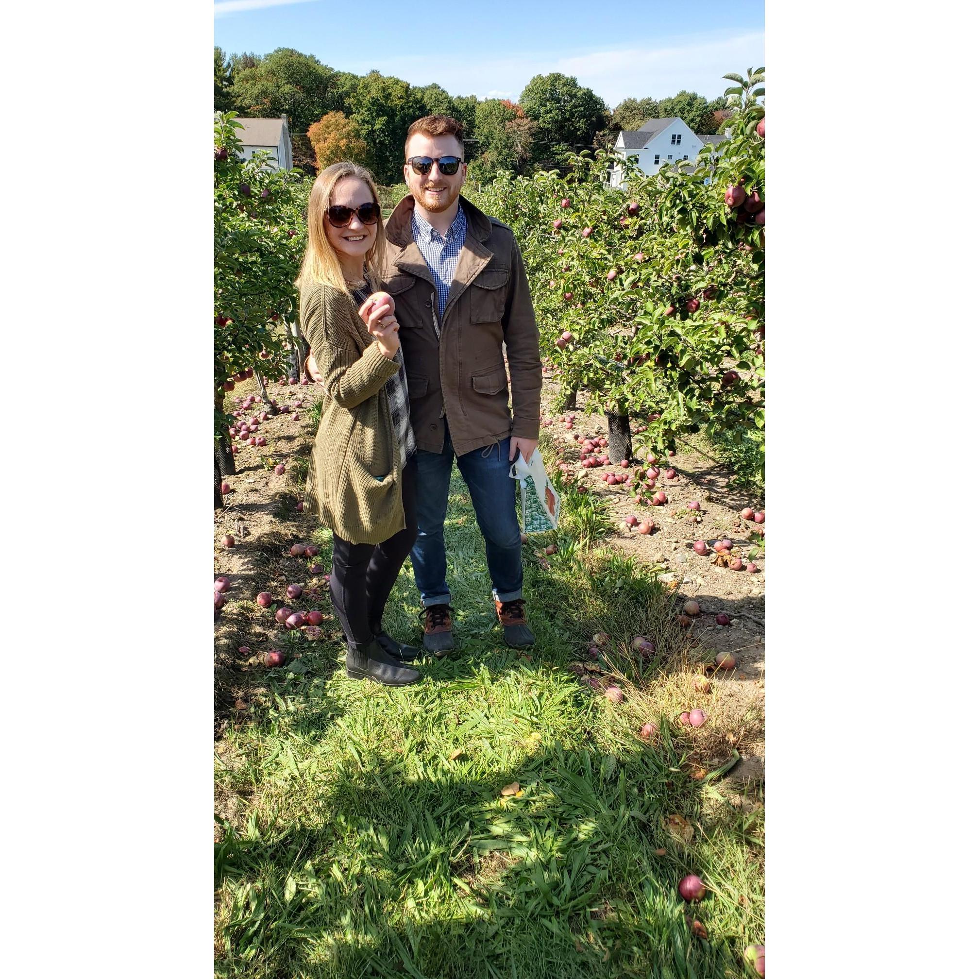 Apple picking