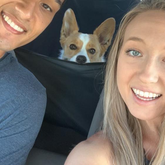 2019 - We get a dog!