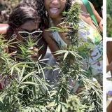 Marijuana Farm and Bird Sanctuary Tour