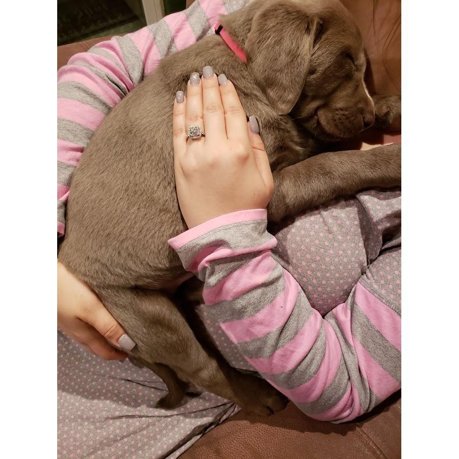 Our first night with Benelli