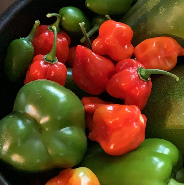 🫙Jars for Jordan’s Salsa 🌶️