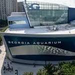 Georgia Aquarium