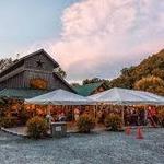 Grandfather Vineyard & Winery
