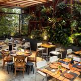 Aromas Delicias Cotidianas - Bosques