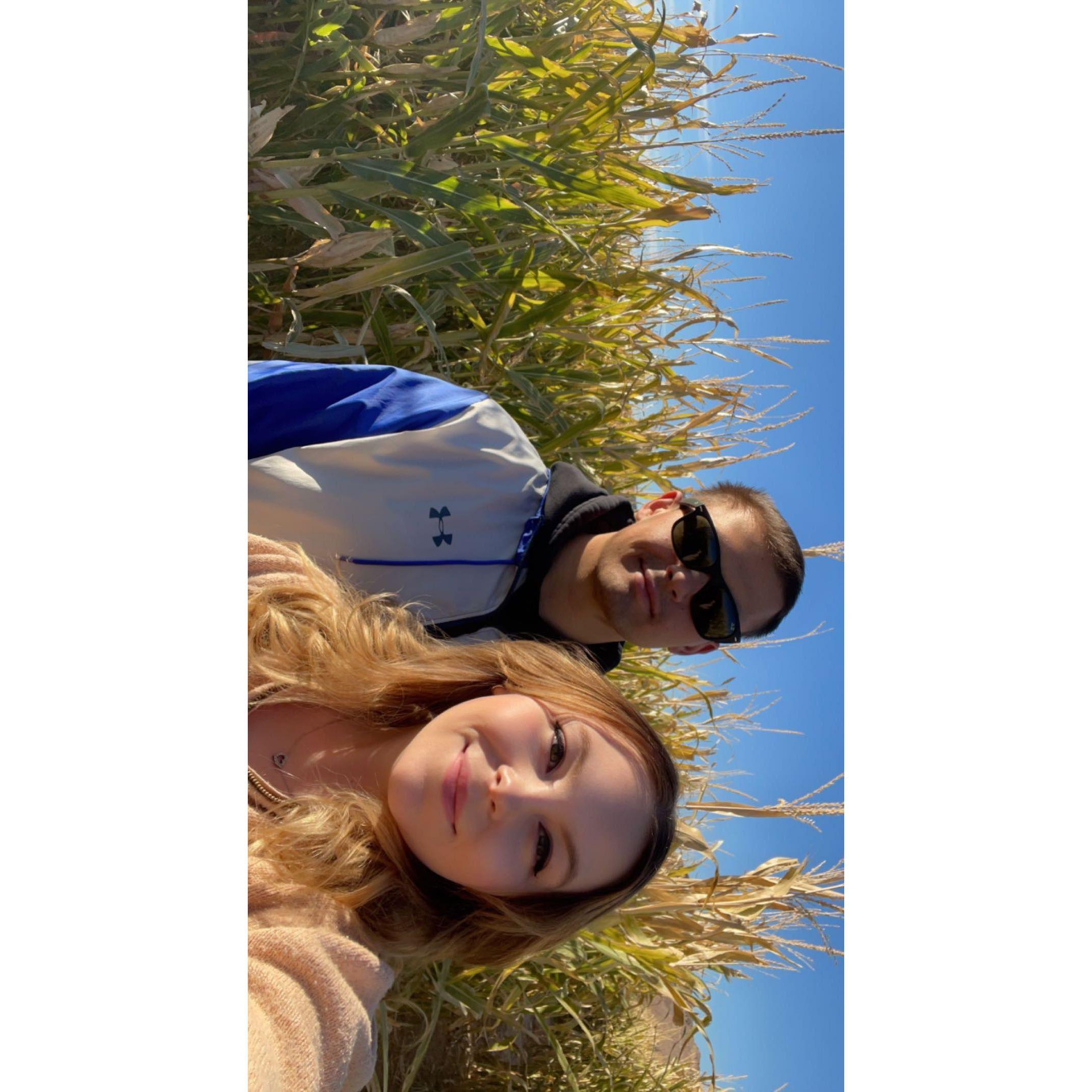 moapa valley fall festival.