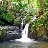 El Yunque National Forest