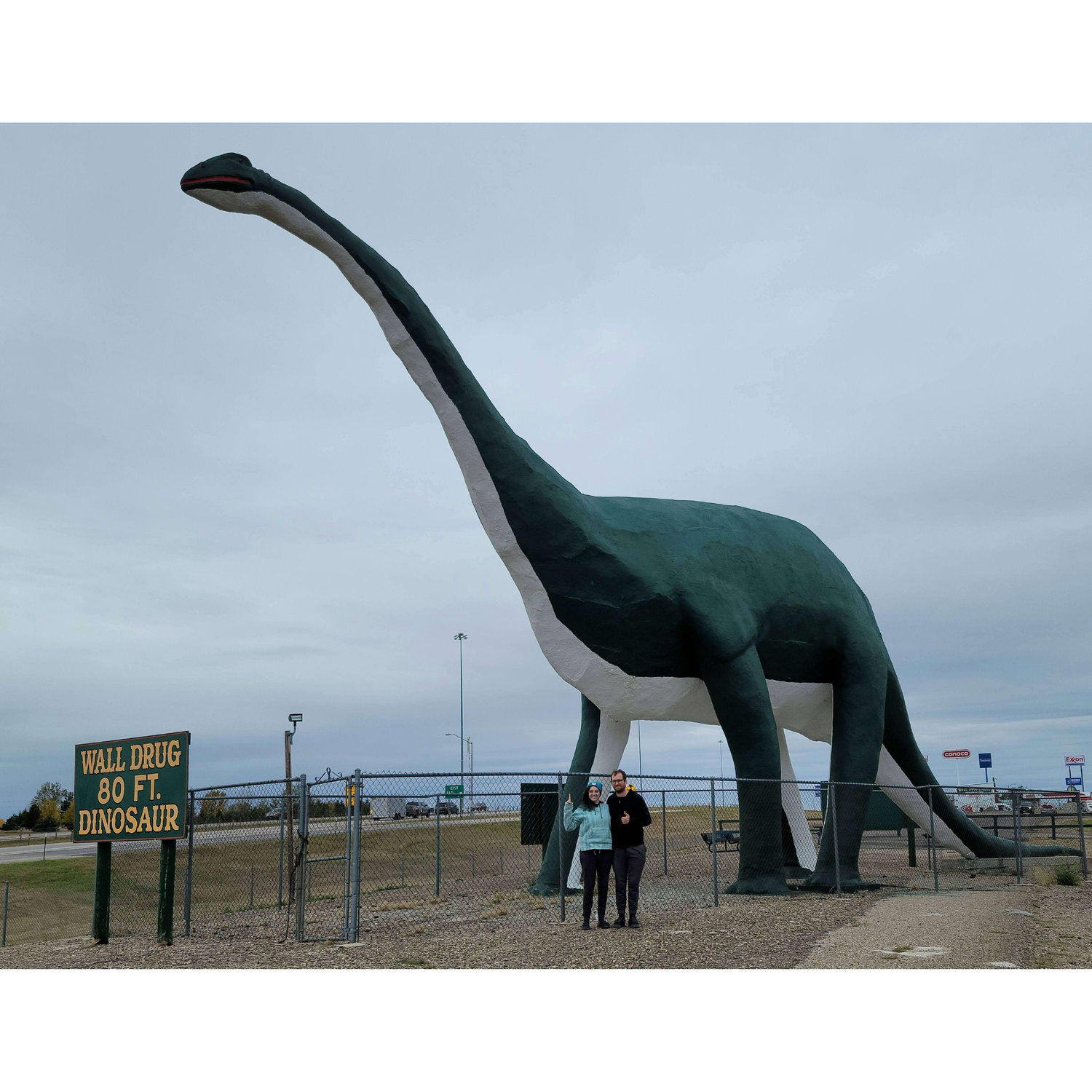 Wall Drug dino!