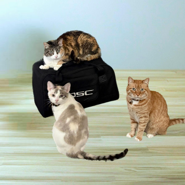 Year's Supply Of Pet Treats