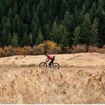 Mountain View Cycles