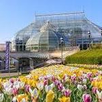 Phipps Conservatory and Botanical Gardens