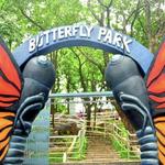 Butterfly World