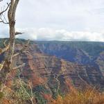 Waimea Canyon State Park