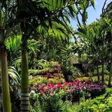 Island Home Garden Center