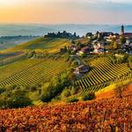 Langhe