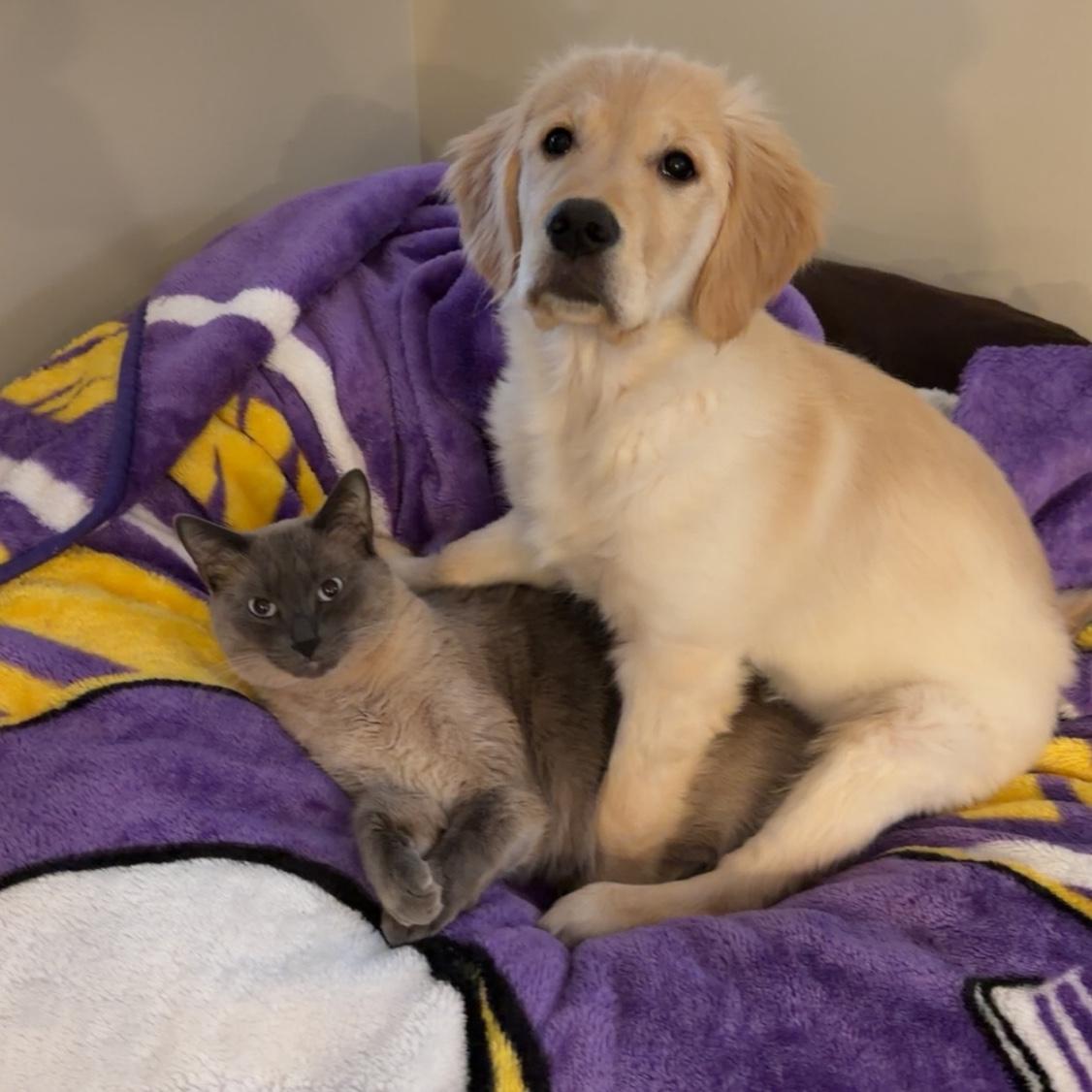 Best friends 🐾