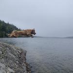 Long Pond Trailhead