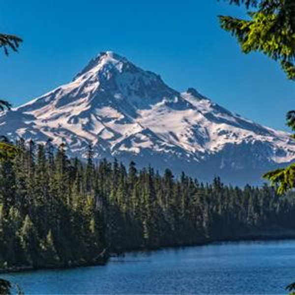 Stay at Lost Lake Resort