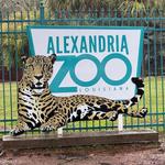 The Alexandria Zoo