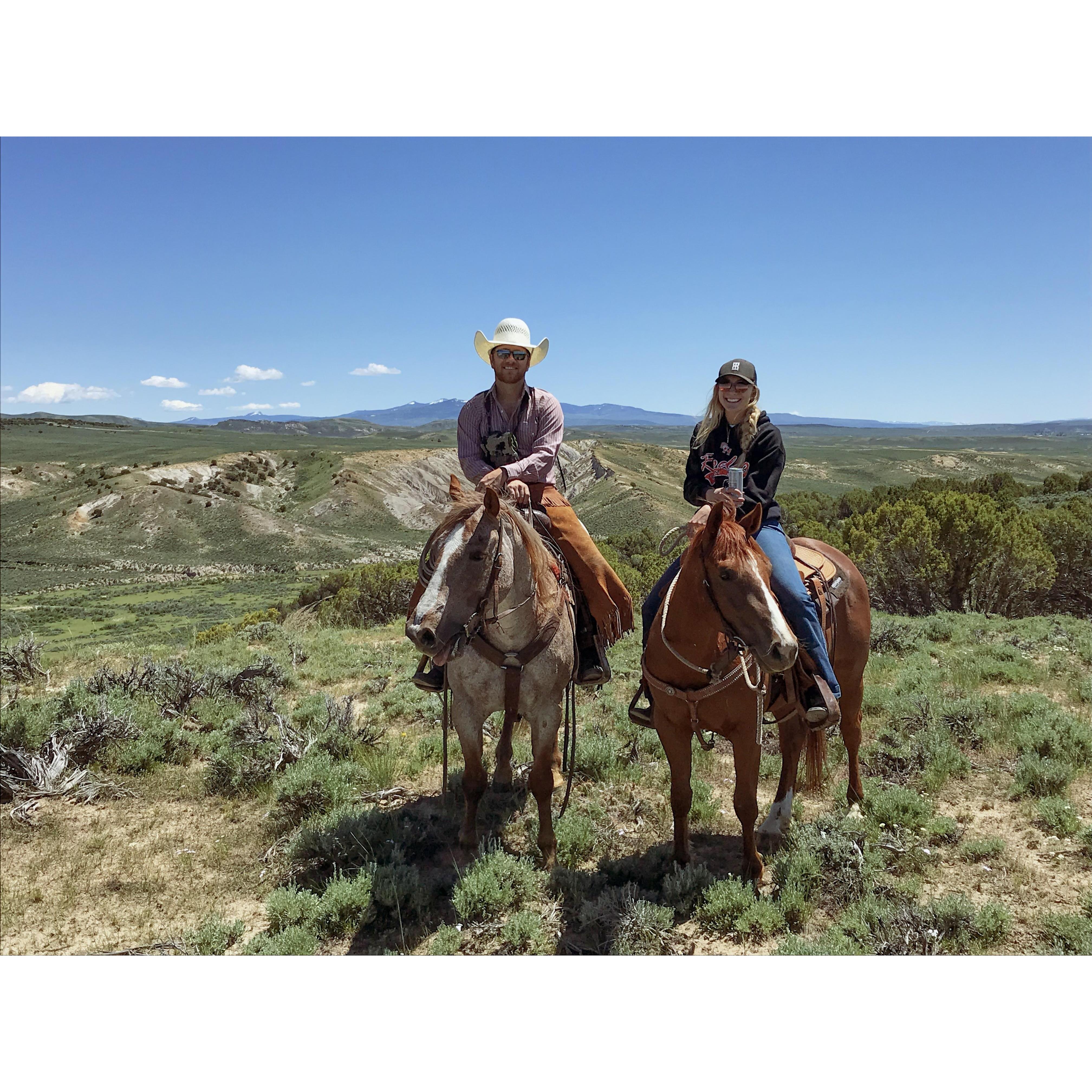 Shed hunting in Wyoming